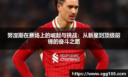 努涅斯在赛场上的崛起与挑战：从新星到顶级前锋的奋斗之路